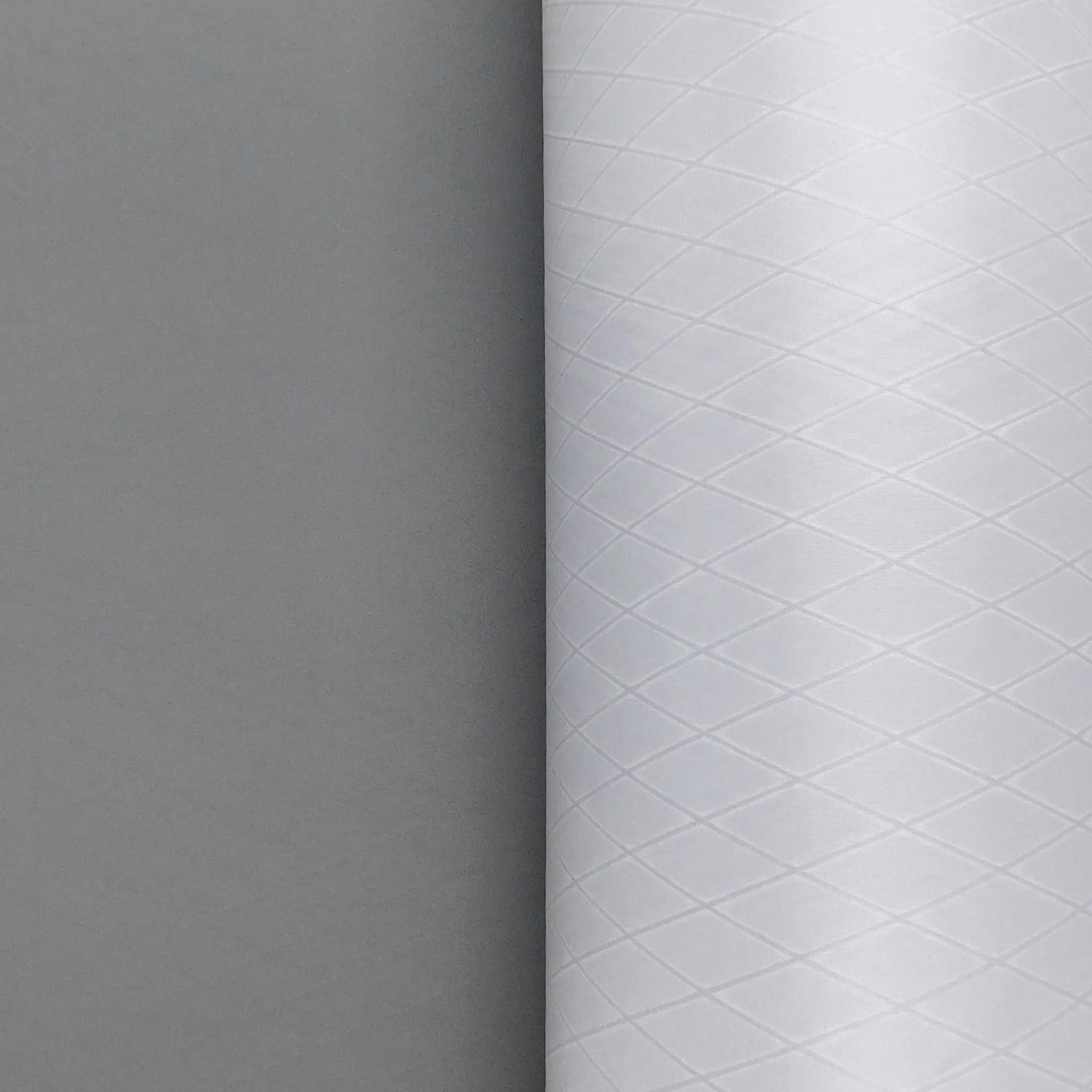 2020 X-Pac VX21 1500mm
