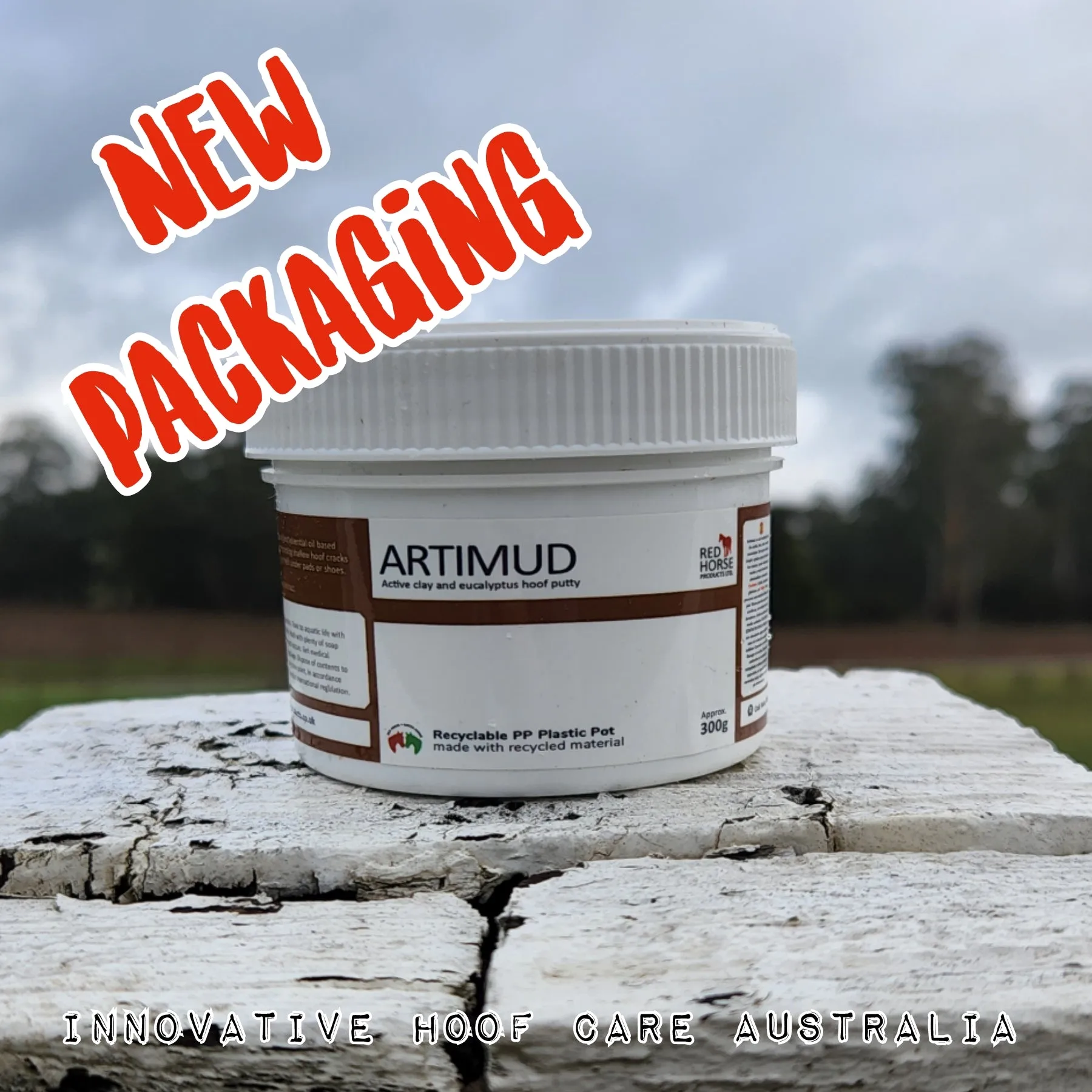 Artimud