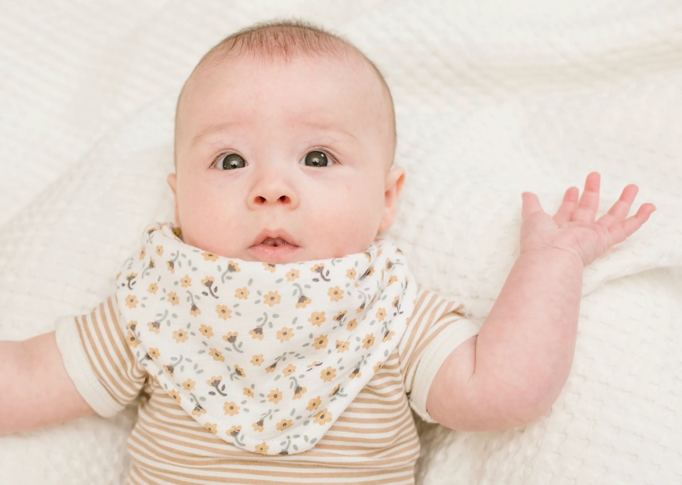 Bandana Bibs – Vintage Floral & Dragonfly