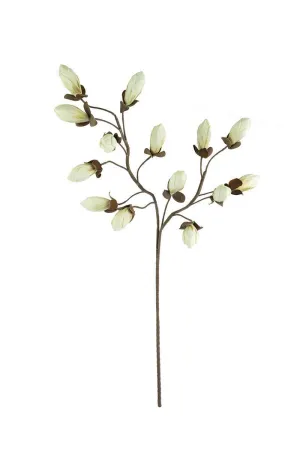 Botanica #2716 (Pack of 6)