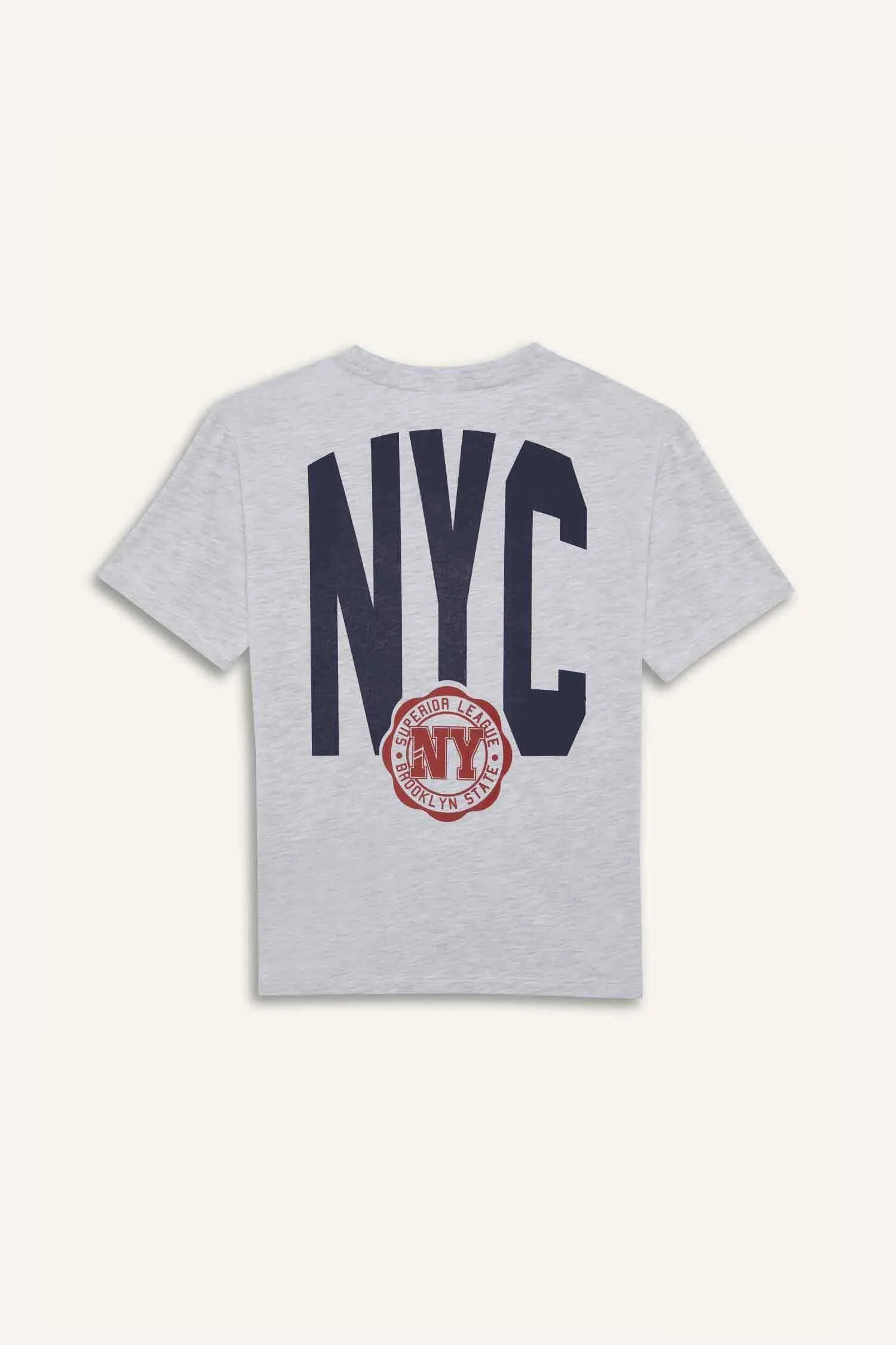 Boy Crew Neck Printed Short Sleeve T-Shirt