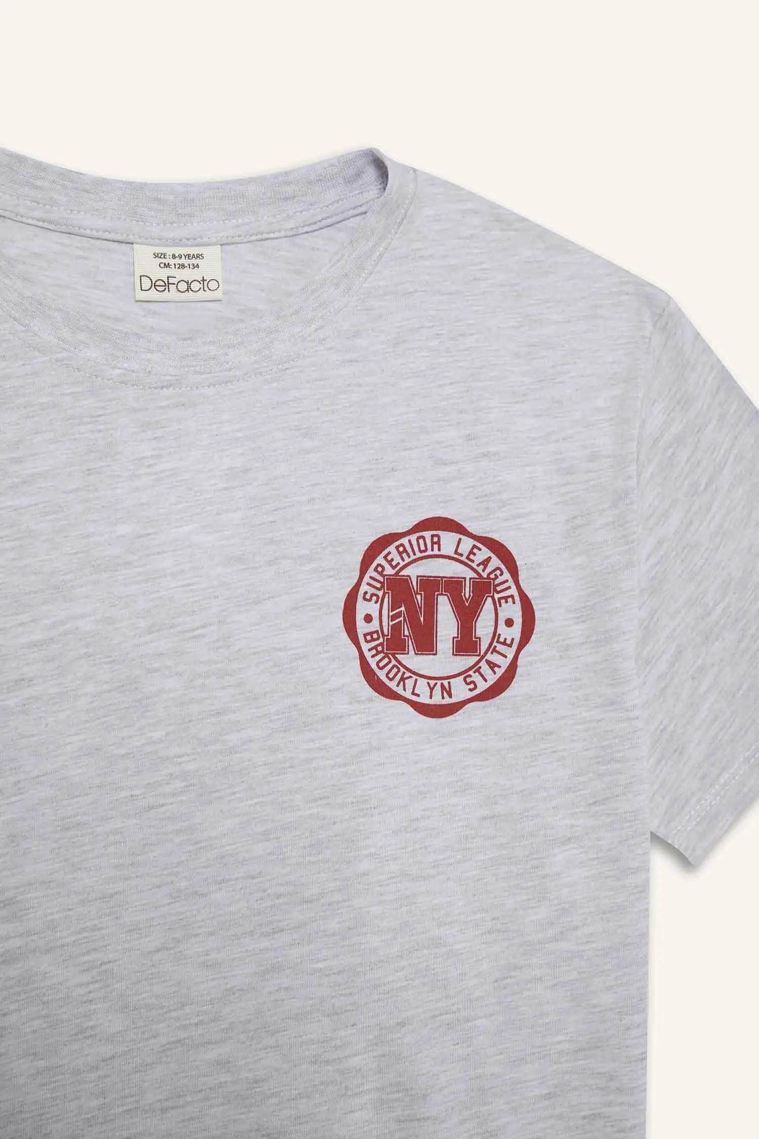 Boy Crew Neck Printed Short Sleeve T-Shirt