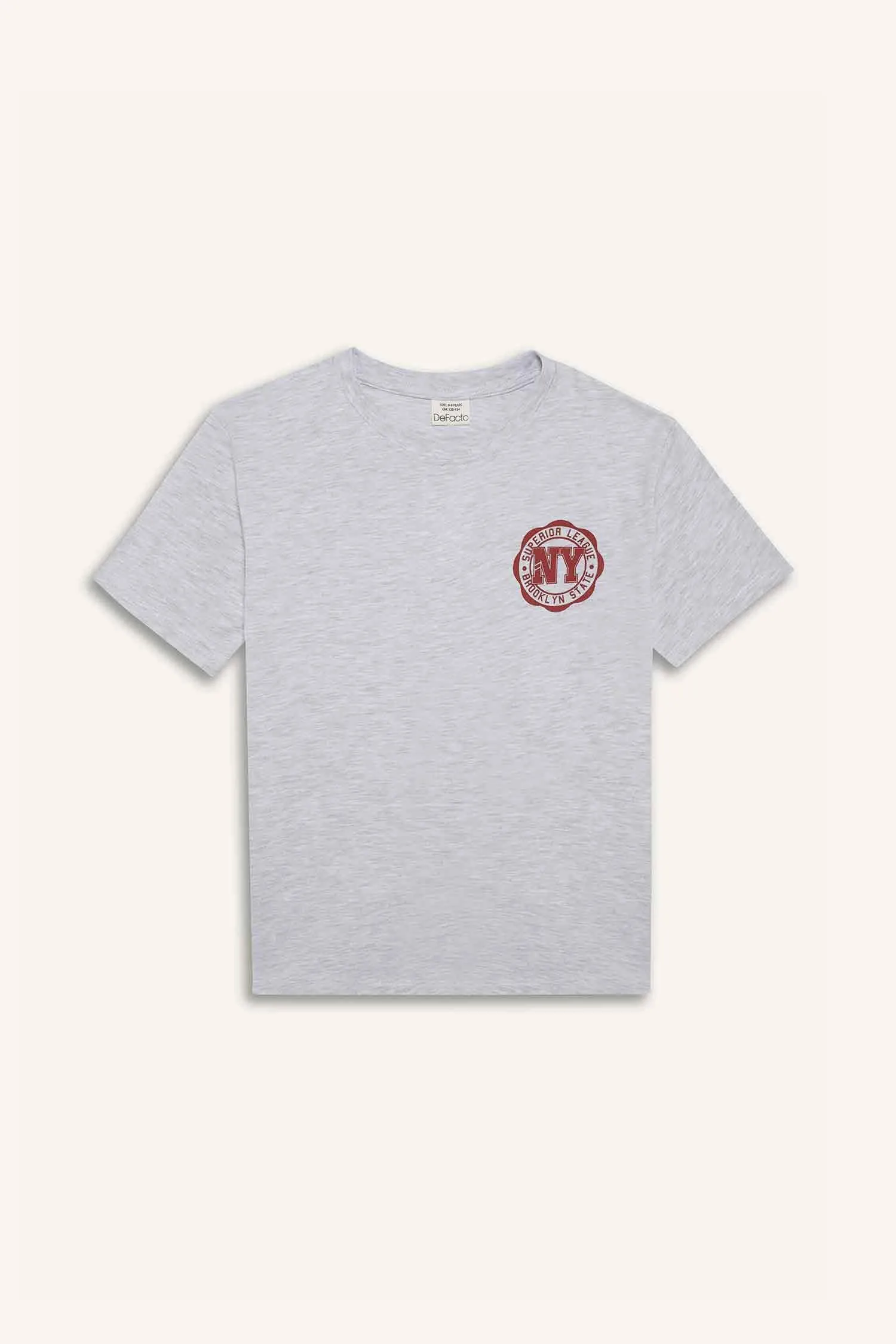 Boy Crew Neck Printed Short Sleeve T-Shirt