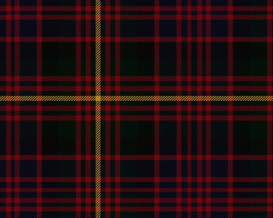 Carmegie Modern Medium Weight 11oz Tartan Cloth