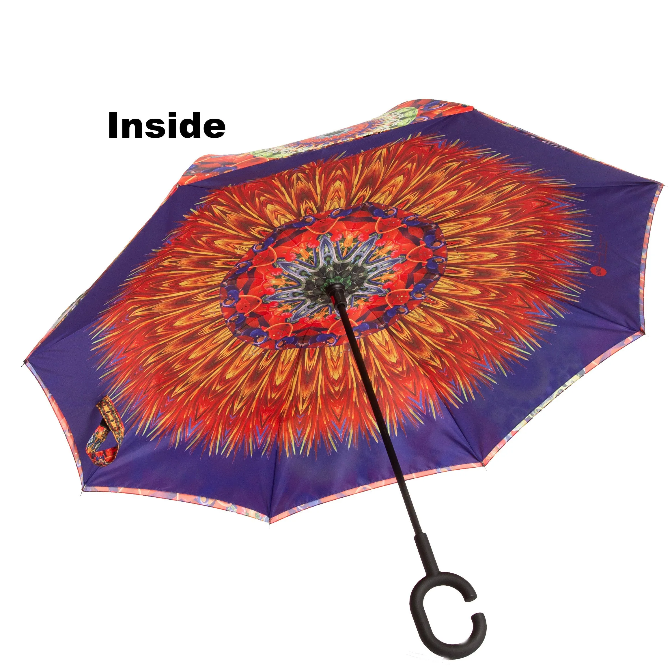 Classicality Reverse Umbrella Collectors Limited Edition