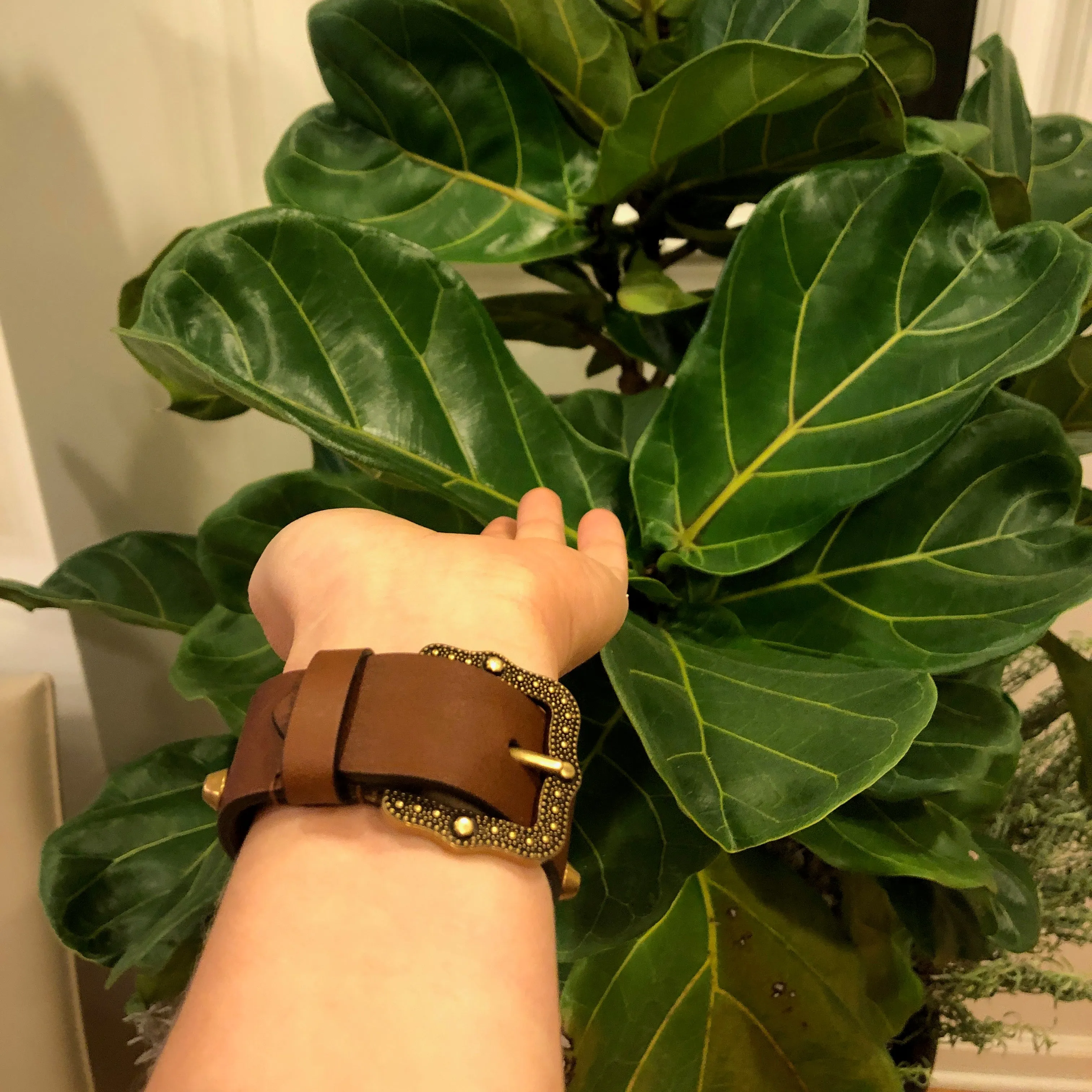 Gucci Feline Head Leather Bracelet in Brown