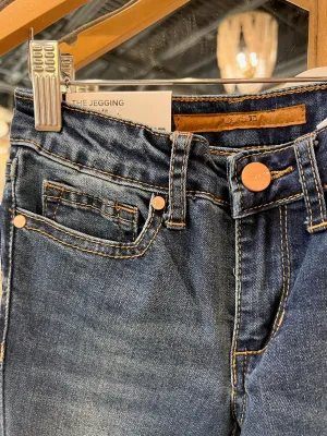 Joes Jeans Kid Icon Skinny Dacey Wash