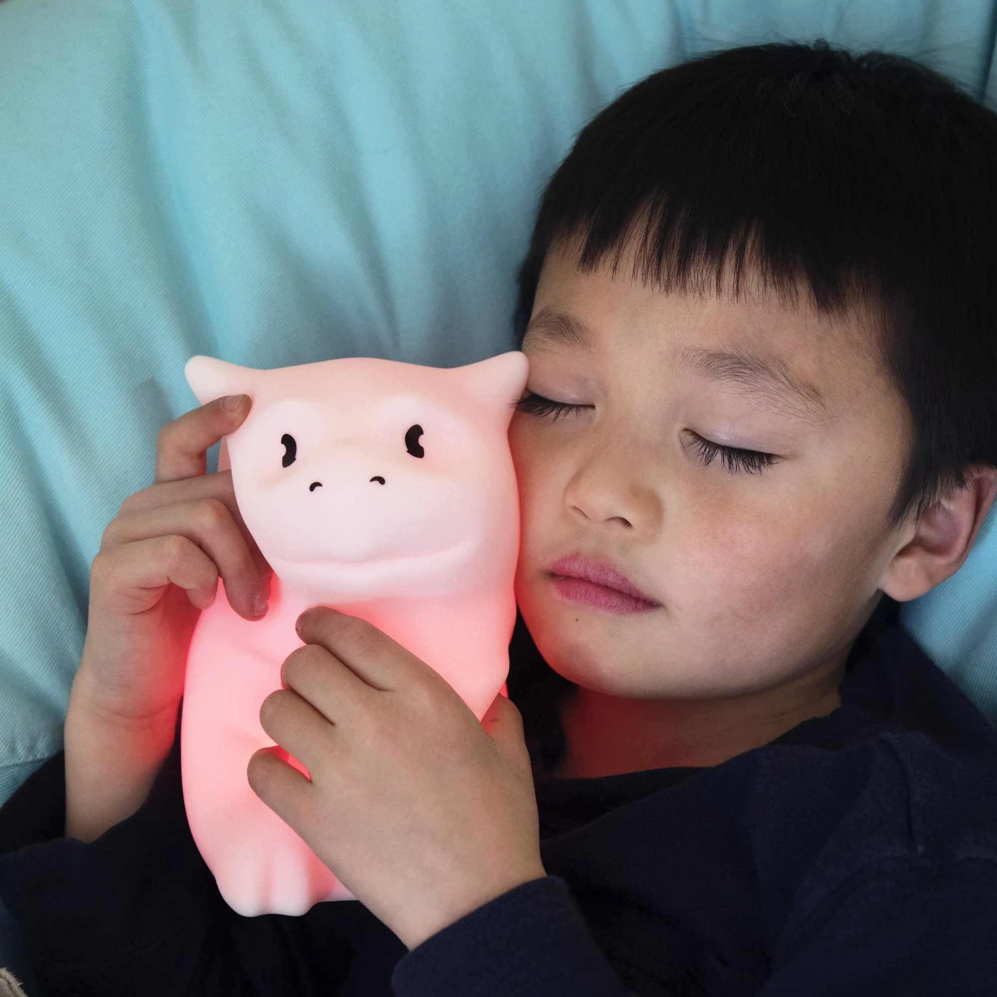 LumiPets with Remote - Dragon