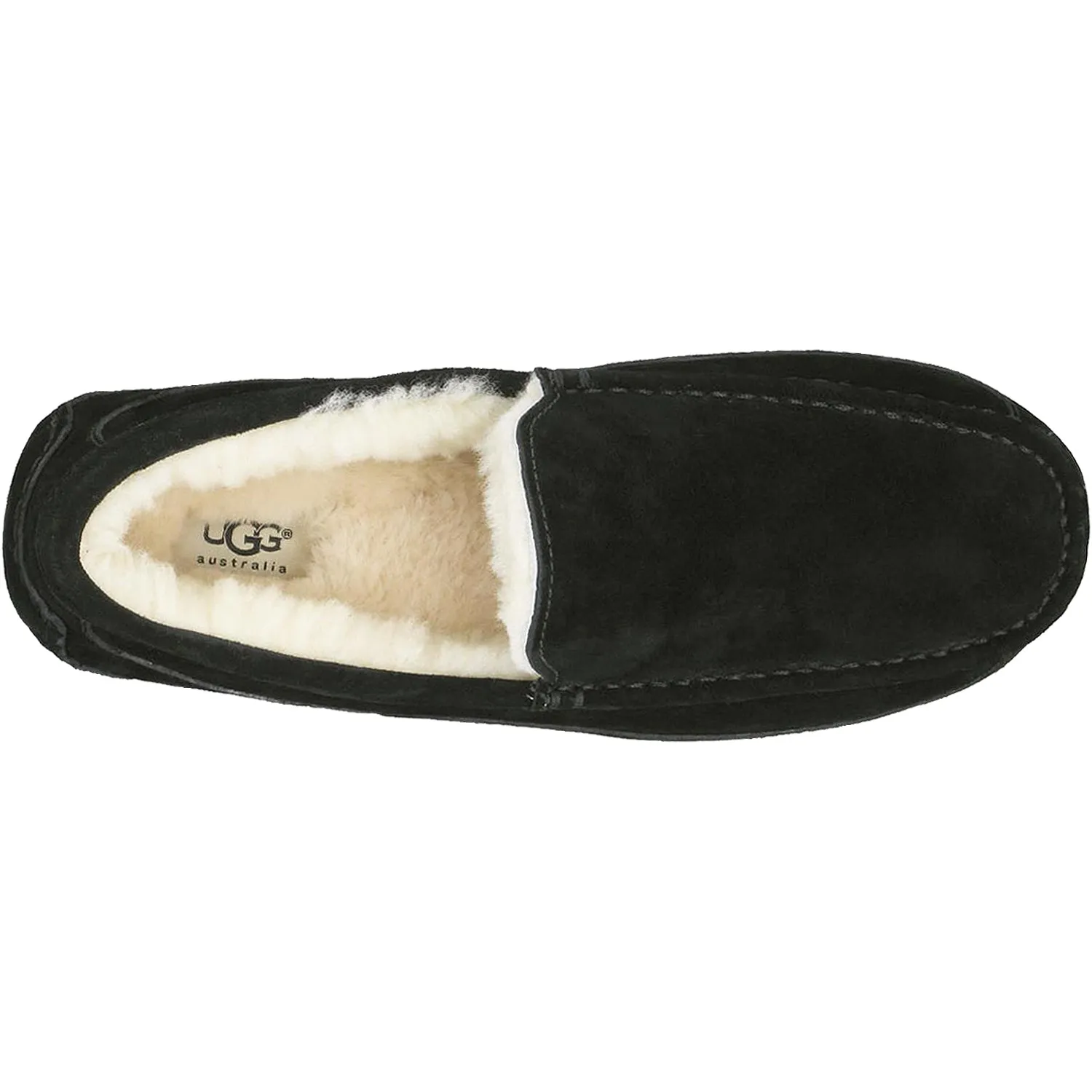 Men's UGG Ascot Black Suede