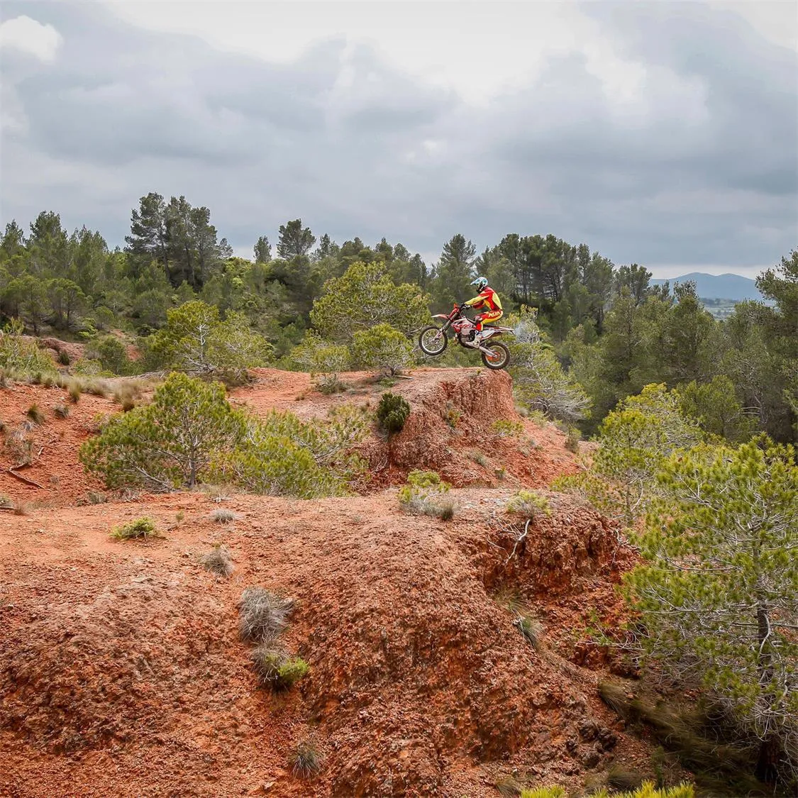 Michelin Enduro Xtrem NHS Tyre