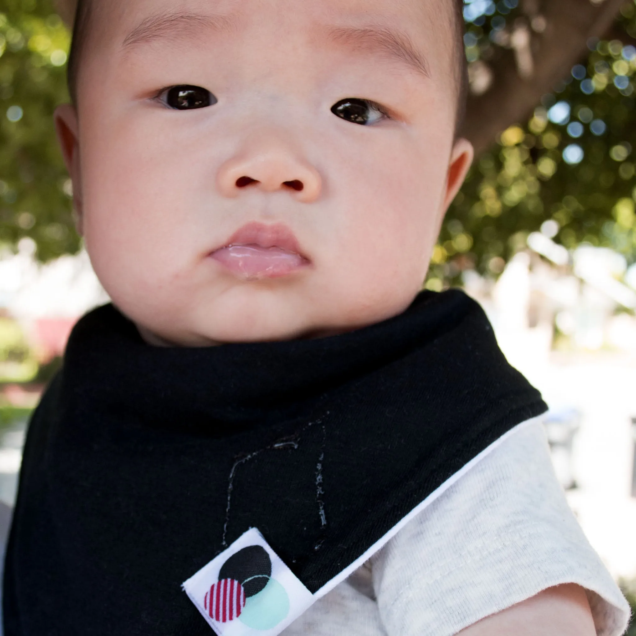 MIDNIGHT  | Premium  Baby Bandana Bib