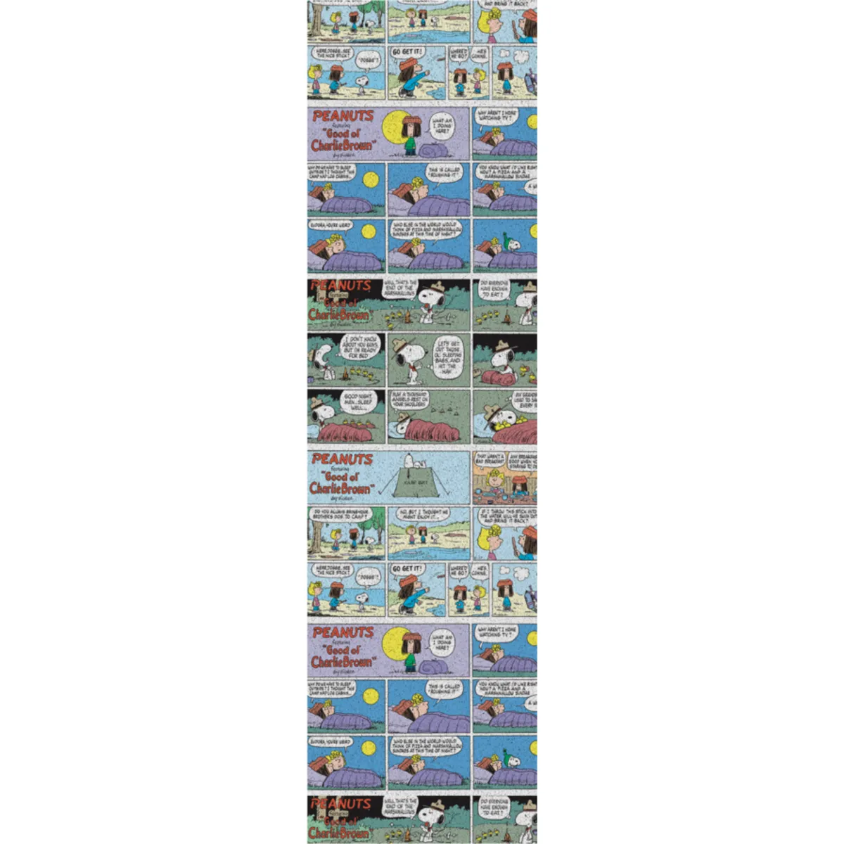 PEANUTS COMIC
