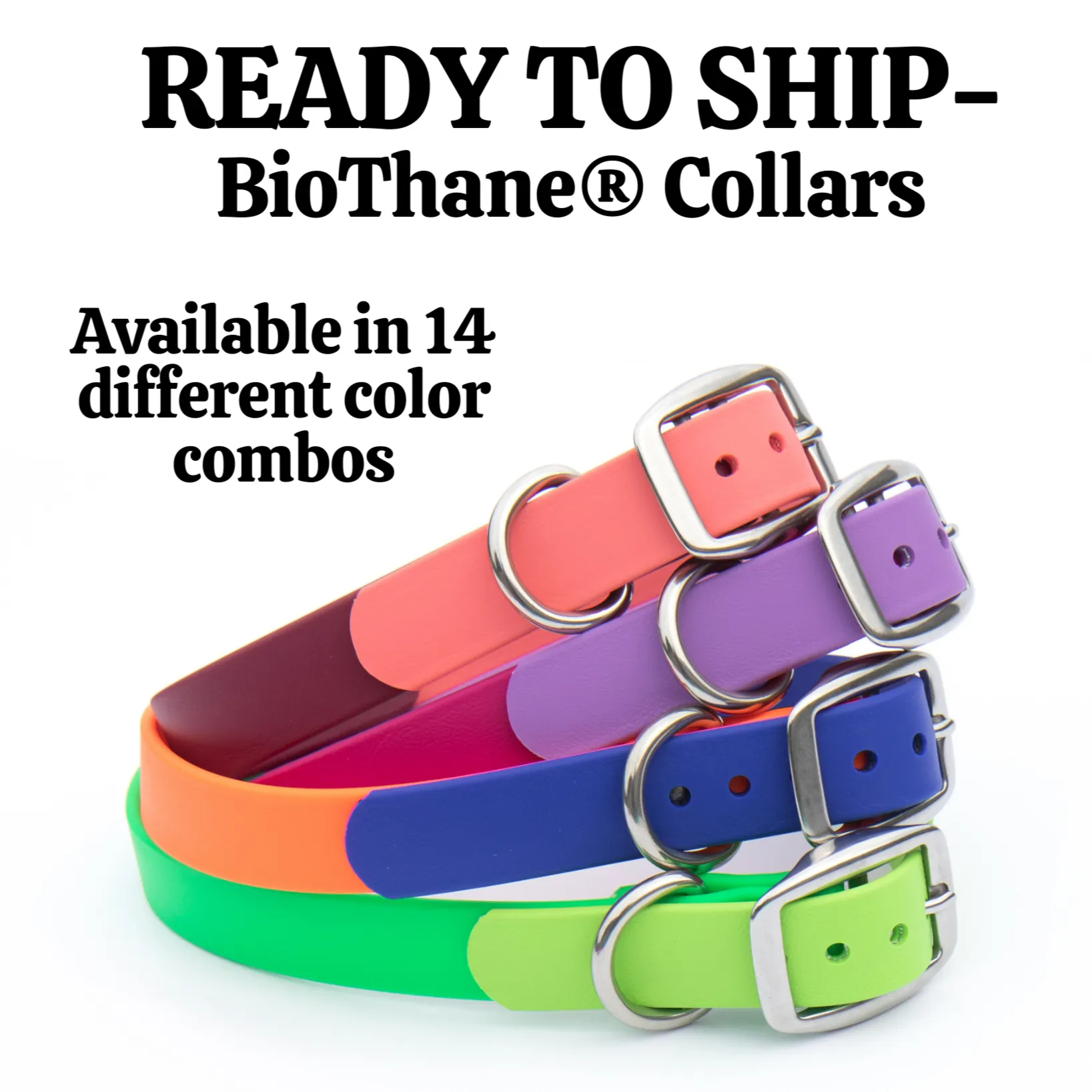 READY TO SHIP BioThane® Collars