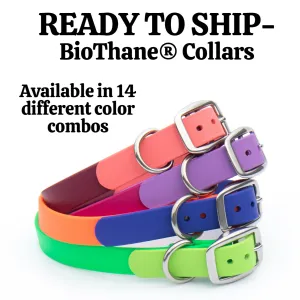 READY TO SHIP BioThane® Collars