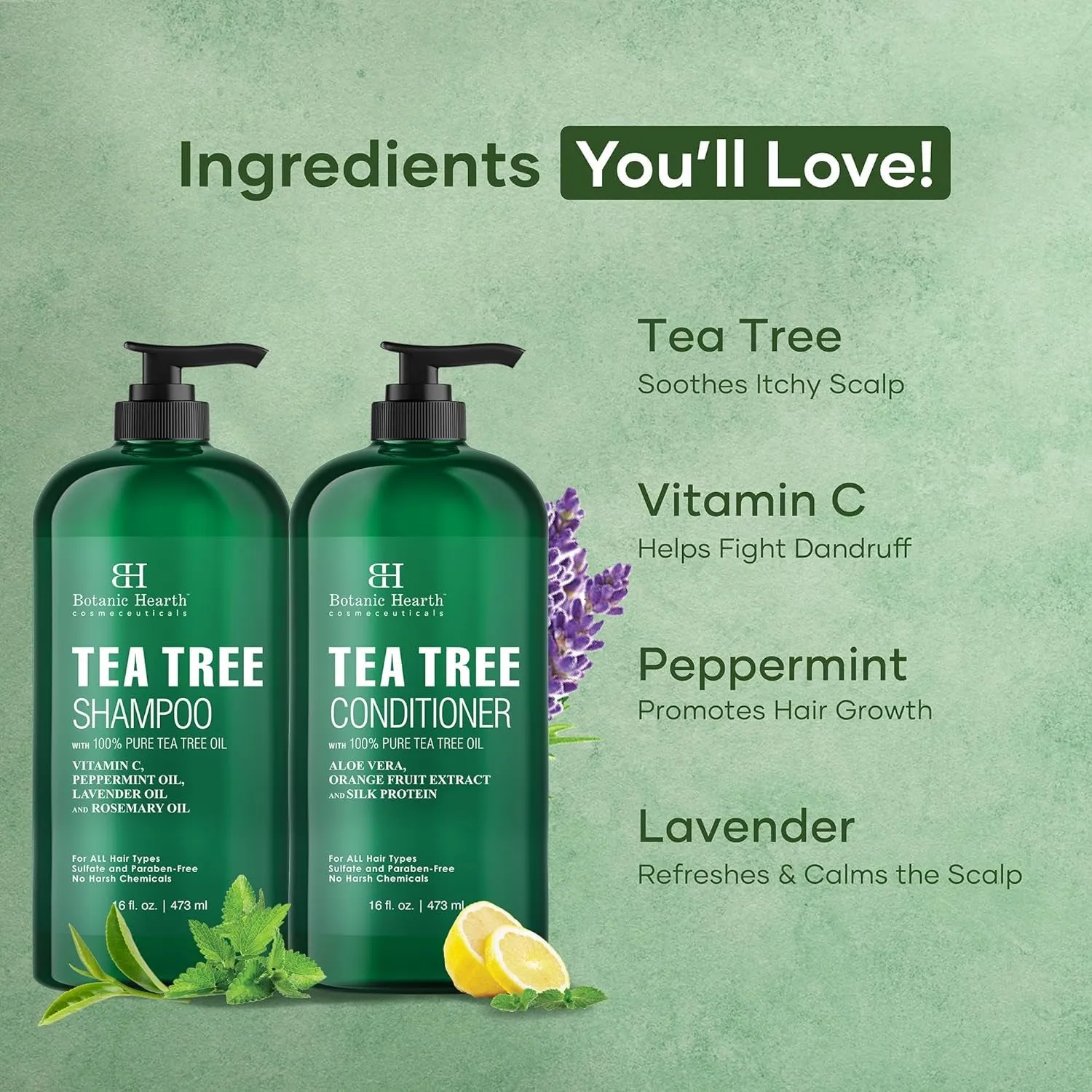 Shampoo and Conditioner Set - with 100% Pure Tea Tree Oil, for Itchy and Dry Scalp, Sulfate/Paraben Free - for Men and Women - 16 Fl Oz Each