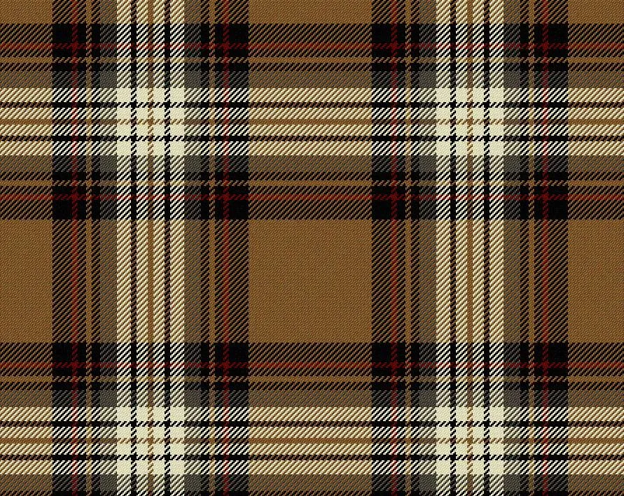 Stewart Camel Modern Medium Weight 11oz Tartan Cloth