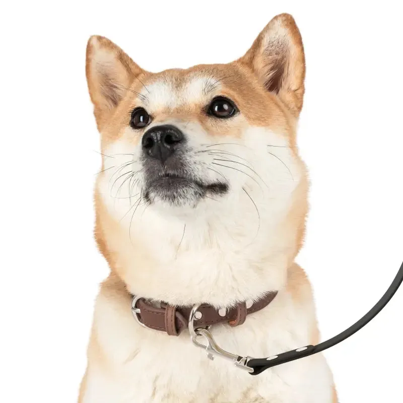 Trendy Dog Leash with Cool Paw Print Pattern