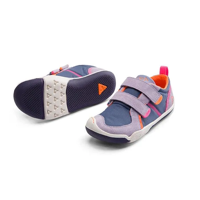 ty Lavender/Indigo
