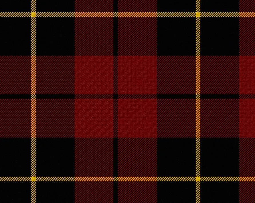 Wallace Modern Medium Weight 11oz Tartan Cloth