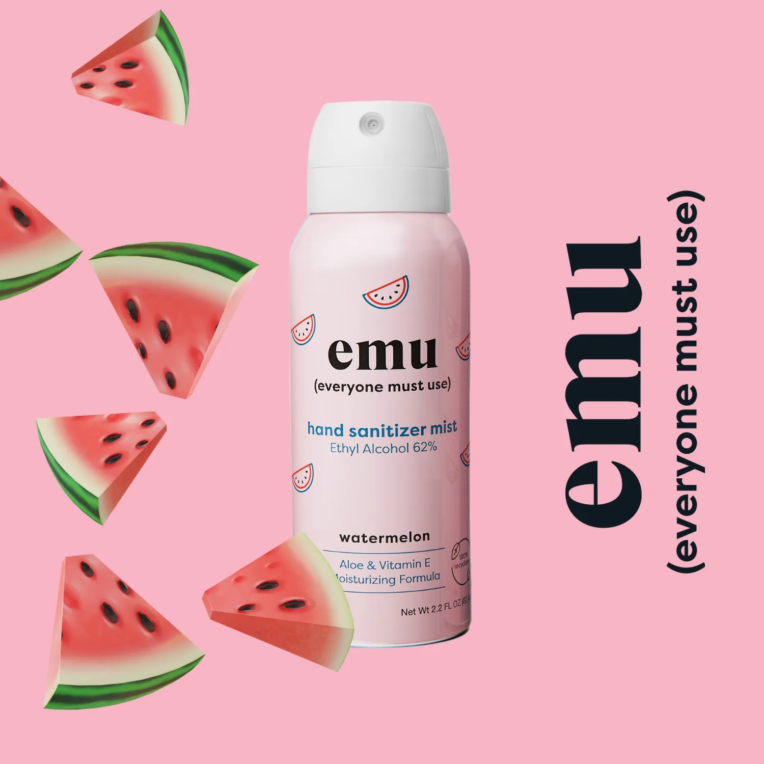 Watermelon Moisturizing Sanitizer Mist 2.2oz  - 24 Pack