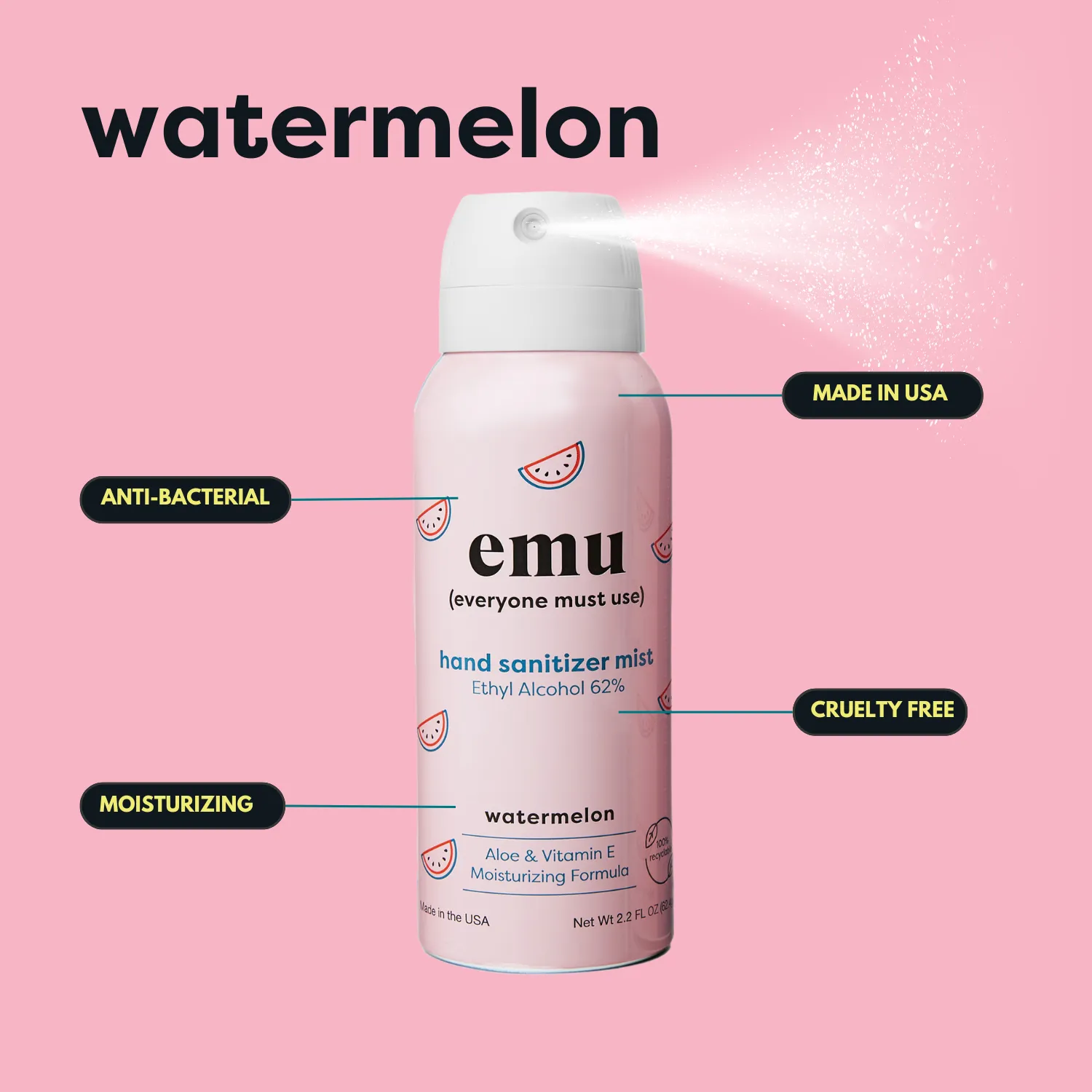 Watermelon Moisturizing Sanitizer Mist 2.2oz  - 24 Pack