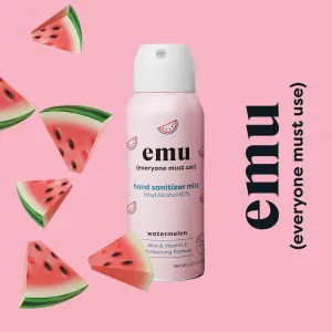 Watermelon Moisturizing Sanitizer Mist 2.2oz  - 24 Pack