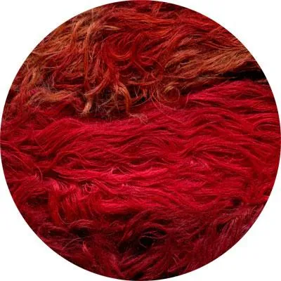 Wooly Feathers